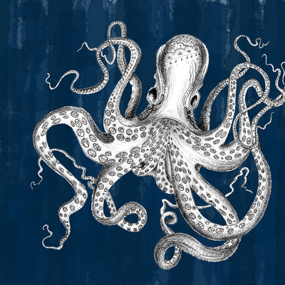 Image Not Available